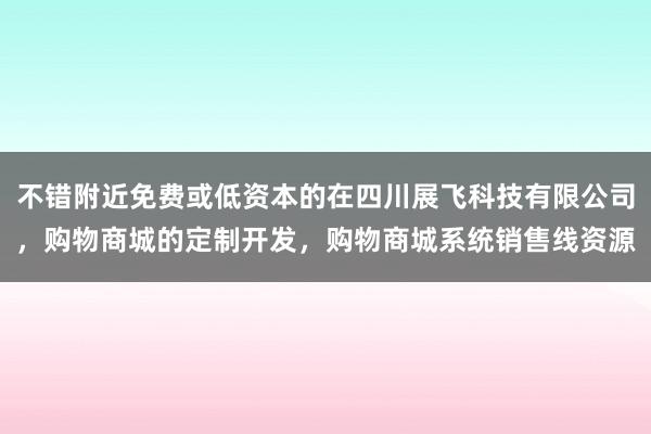 不错附近免费或低资本的在四川展飞科技有限公司,购物商城的定制开发,购物商城系统销售线资源
