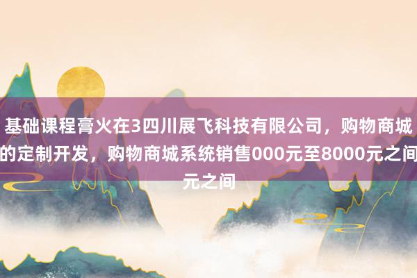 基础课程膏火在3四川展飞科技有限公司，购物商城的定制开发，购物商城系统销售000元至8000元之间